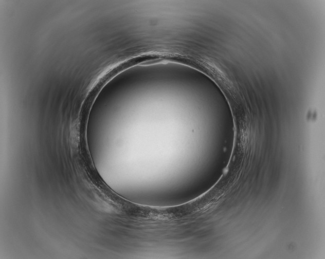 X0000090450484200707201317