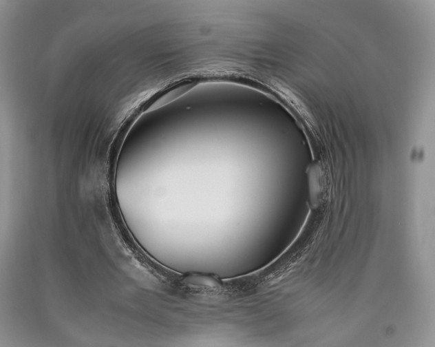 X0000090450485200707201317