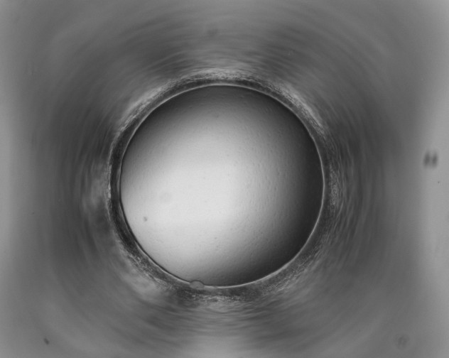 X0000090450486200707201317