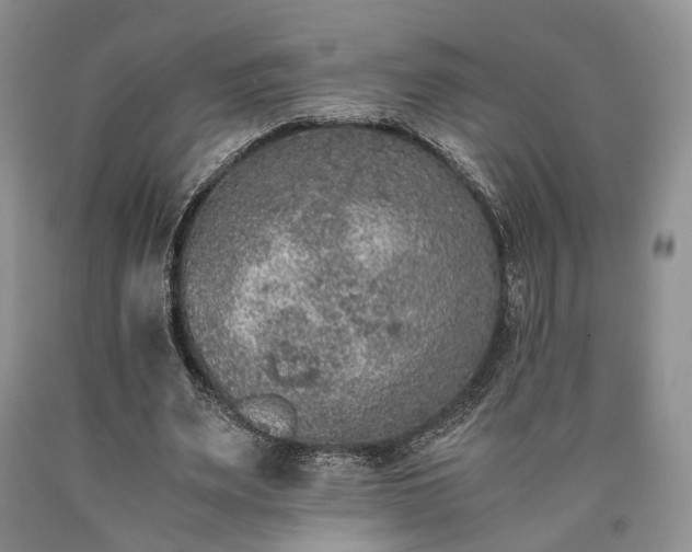 X0000090450487200707201317