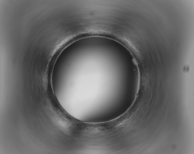 X0000090450488200707201317