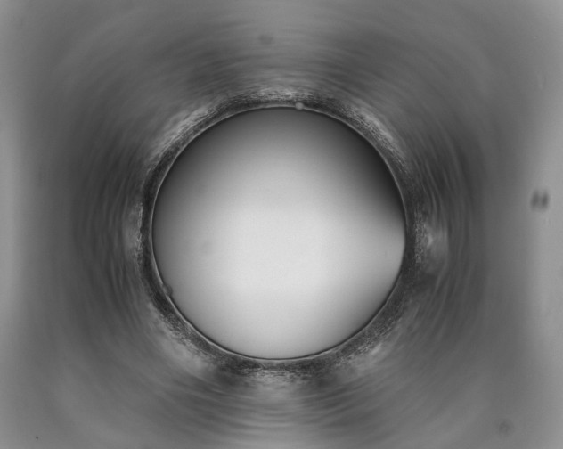 X0000090450490200707201317