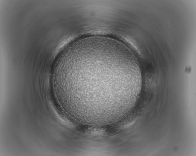 X0000090450491200707201317