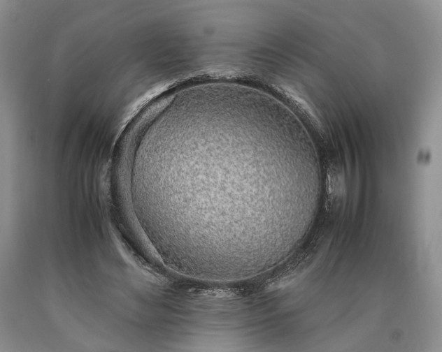 X0000090450492200707201317