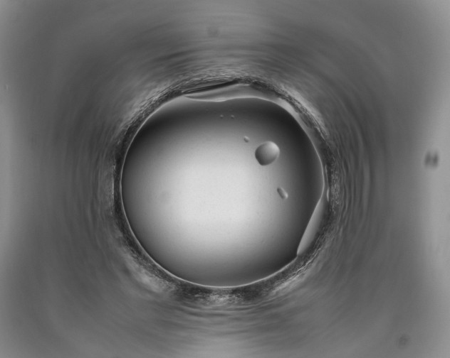 X0000090450493200707201317