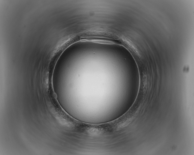 X0000090450494200707201317