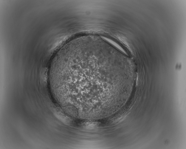 X0000090450495200707201317