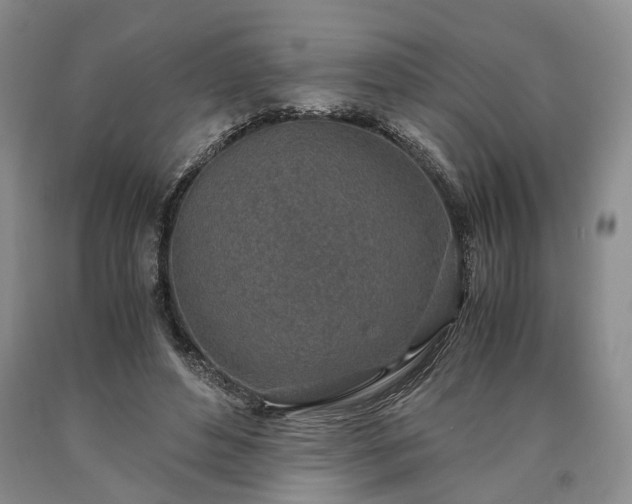 X0000090450496200707201317