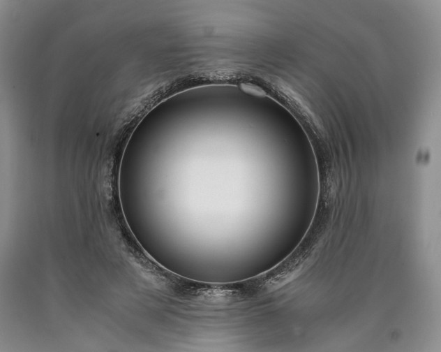 X0000090450497200707201317