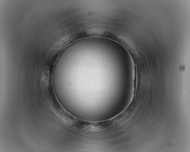 X0000090450498200707201317