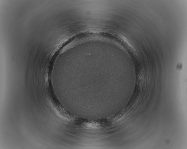 X0000090450500200707201317