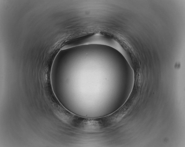 X0000090450501200707201317