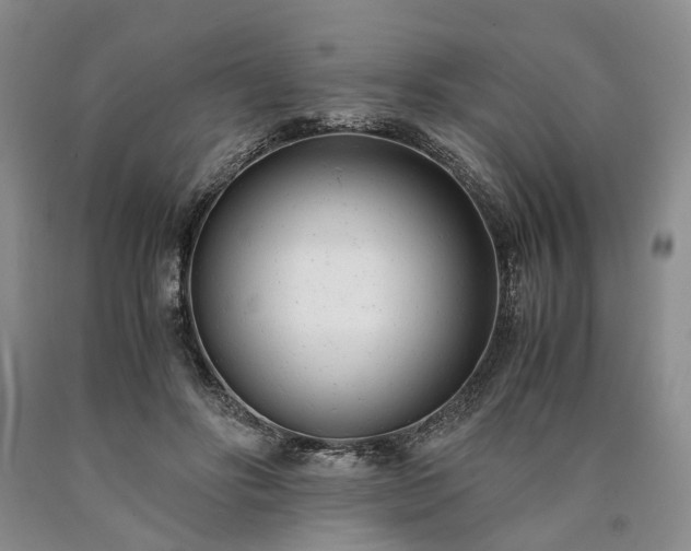 X0000090450502200707201317