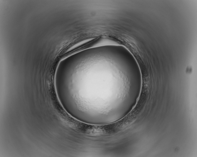 X0000090450503200707201316