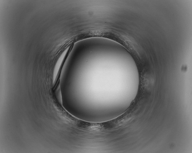 X0000090450505200707201316