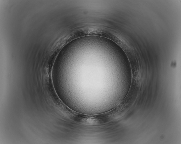 X0000090450506200707201316