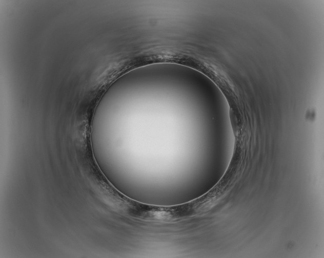 X0000090450509200707201316