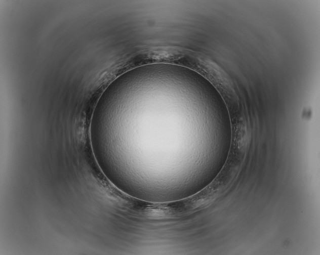 X0000090450510200707201316
