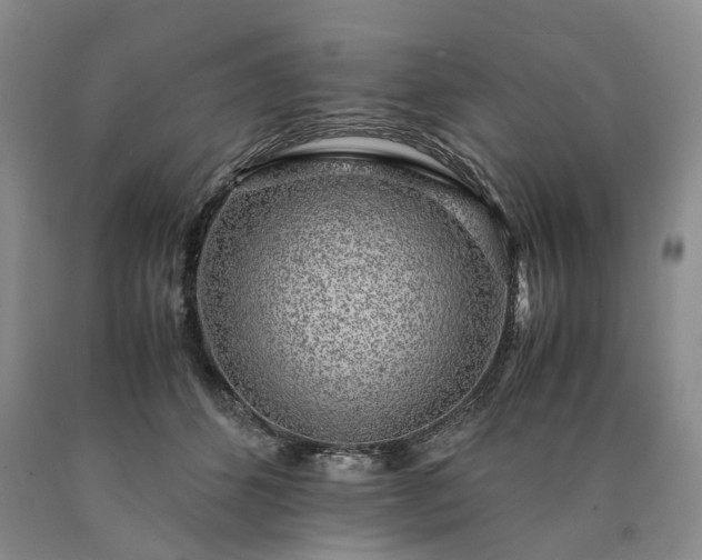 X0000090450512200707201316