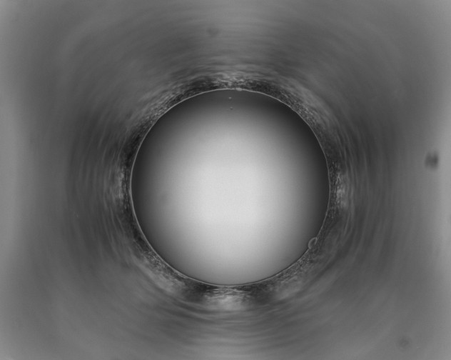 X0000090450514200707201316