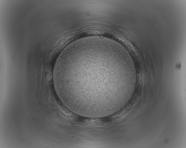 X0000090450517200707201316