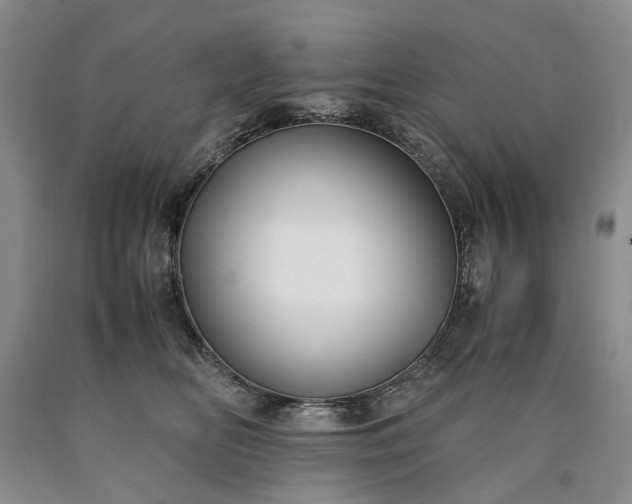 X0000090450518200707201316