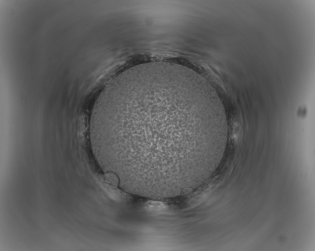 X0000090450519200707201316