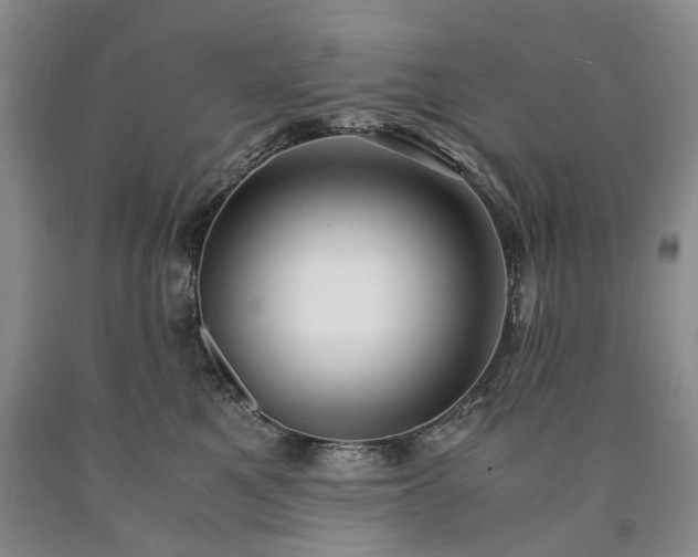 X0000090450521200707201316
