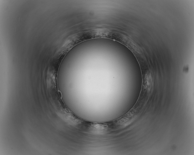 X0000090450522200707201316