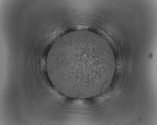X0000090450523200707201316
