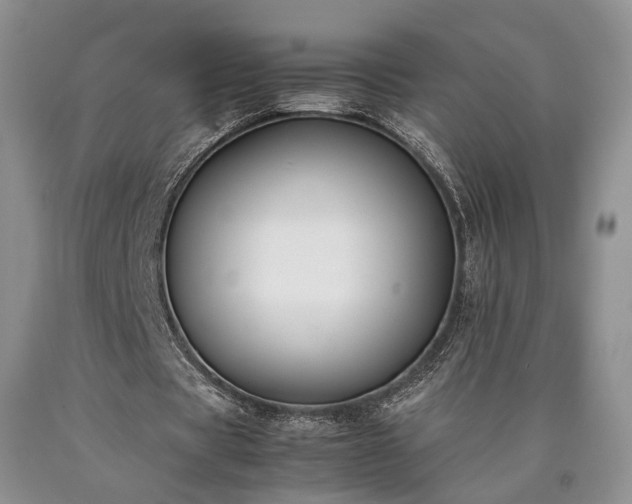 X0000090450529200707201316