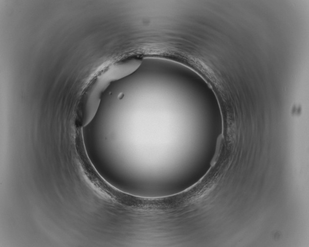 X0000090450530200707201316