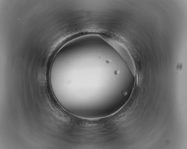 X0000090450531200707201316