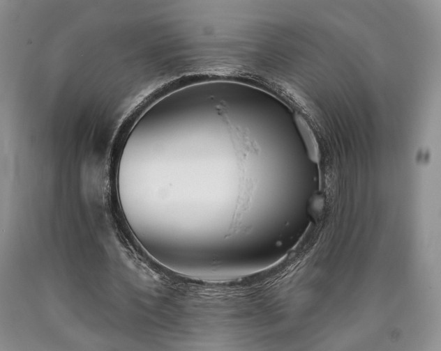 X0000090450532200707201316