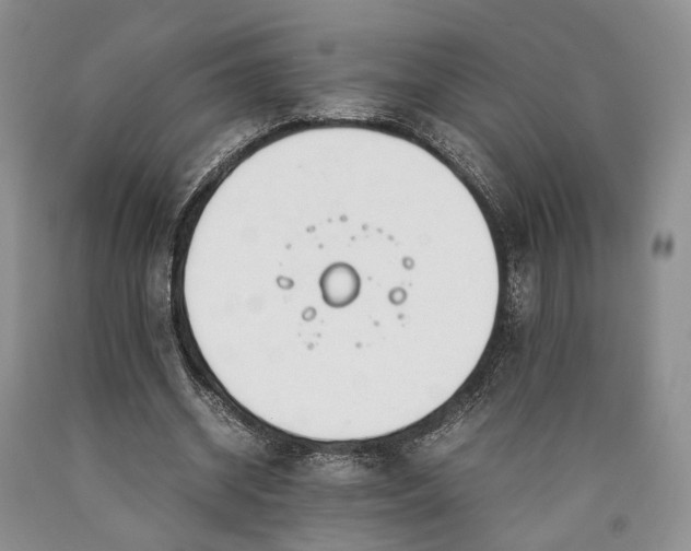 X0000090450534200707201316