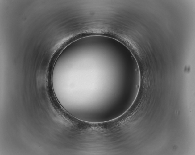 X0000090450536200707201316