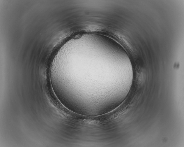 X0000090450539200707201316