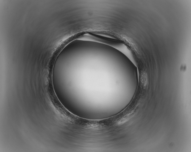 X0000090450540200707201316