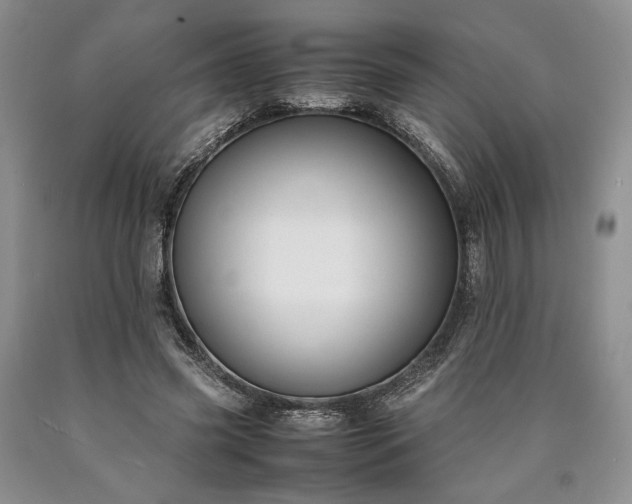 X0000090450541200707201316