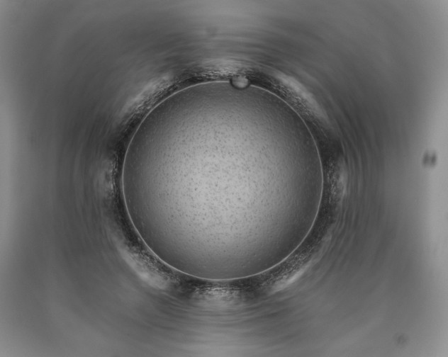 X0000090450546200707201316