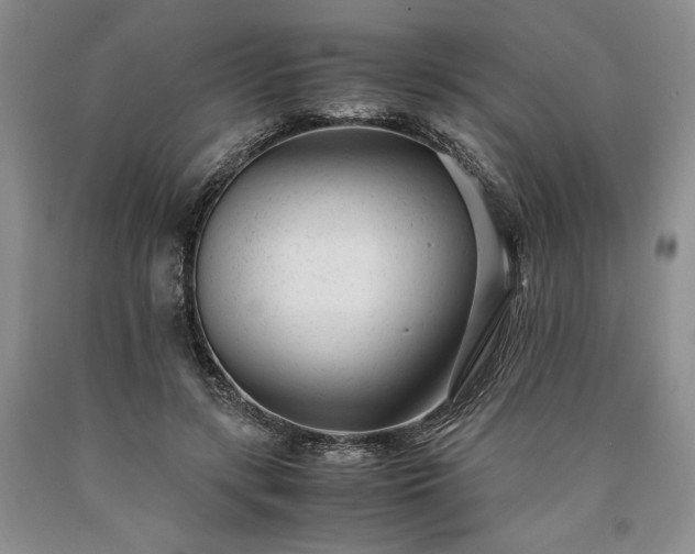 X0000090450547200707201316