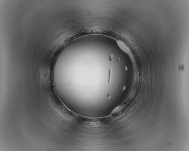 X0000090450548200707201316