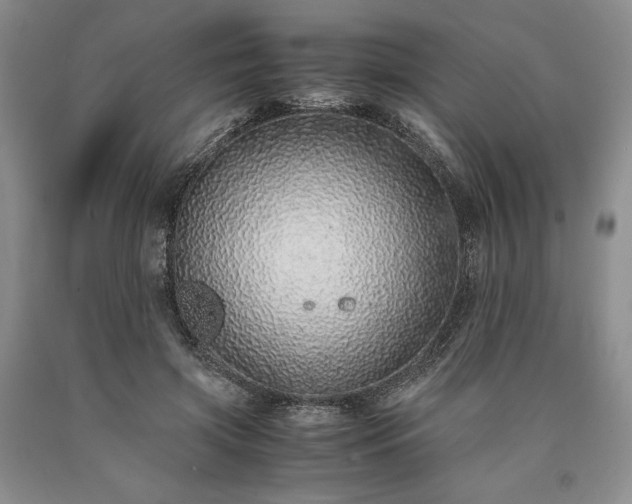 X0000090450549200707201316