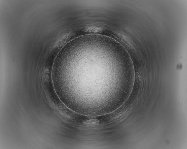 X0000090450551200707201316