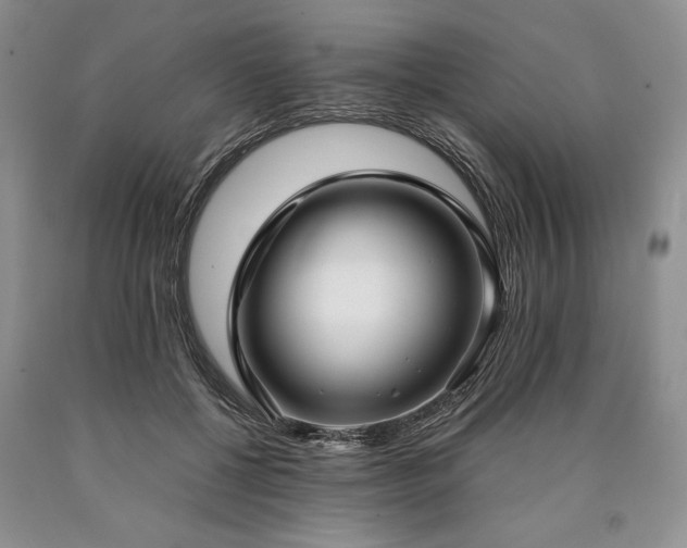 X0000090450552200707201316