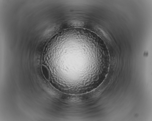 X0000090450553200707201316