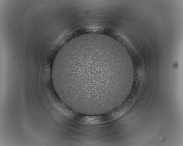X0000090450557200707201316