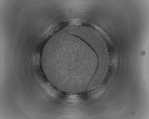 X0000090450560200707201316