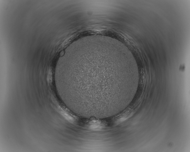 X0000090450562200707201316