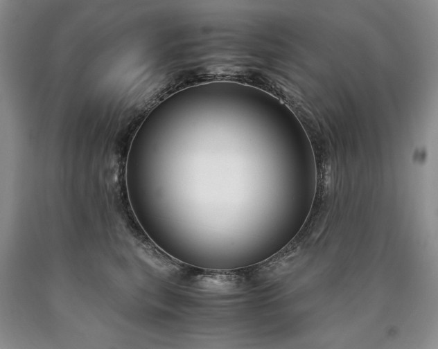 X0000090450567200707201316